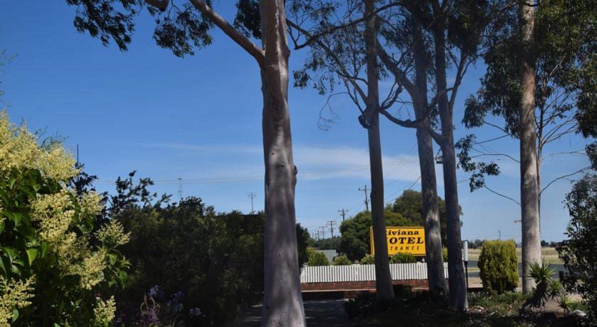 Riviana Motel Deniliquin Exterior foto